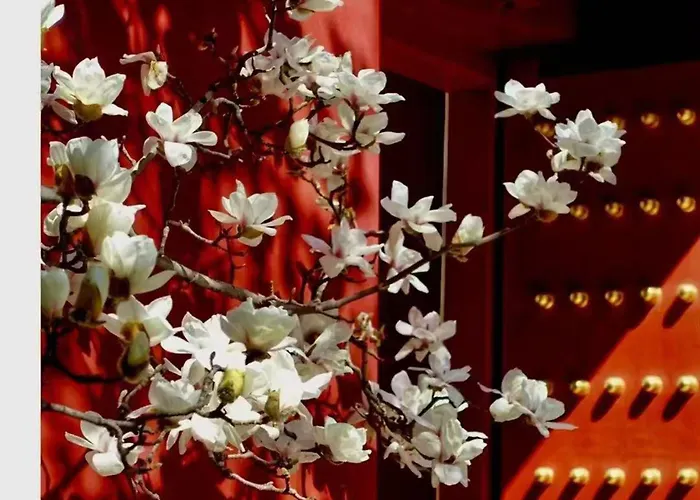 Hotel Cote Cour Deductive Beijing - Quadrangle Close To Tiananmen Square & Forbidden City & Nanluoguxiang, Walk To Wangfujing, English Speaking, Free Wifi, Free Laundry, Free Wonton & Noodles With Tour Ticket Service, Free Selfies With Ancient Costum